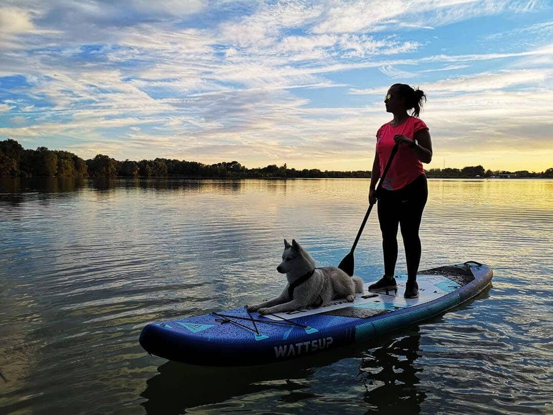 Nafukovací paddleboard Wattsup Marlin - 120x33x6 pejsek na paddleboardu